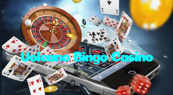 available types of Volcano Bingo Casino bet including pre-match live express and system bets